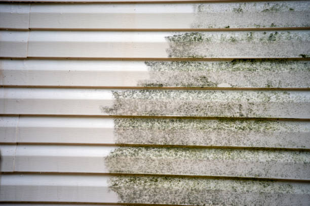 Reliable Cementon, PA Junk Removal Solutions
